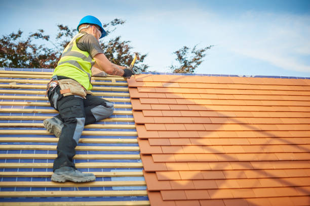  Sunny Isles Beach, FL Roofing services Pros